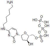 CAS#: 110537-14-9， [(2R,3S,5R)-5-[4-(6-Aminohexylamino)-2-Oxopyrimidin-1-Yl]-3-Hydroxyoxolan-2-Yl]Methyl (Hydroxy-Phosphonooxyphosphoryl) Hydrogen Phosphate