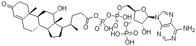 CAS#: 115288-28-3， 24-(12-Hydroxy-3-Oxo-4-Cholenoyl-5'-Phospho)-3'-Phosphoadenosine