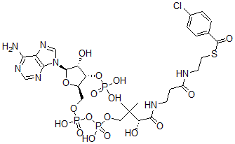 CAS#: 117380-98-0， 4-Chlorobenzoyl Coenzyme A