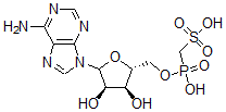 CAS 登录号：120975-36-2， 腺苷,5'-[氢(磺基甲基)膦酸酯]