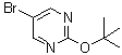 结构式 CAS# 121487-13-6, 5-溴-2-[(2-甲基-2-丙基)氧基]嘧啶