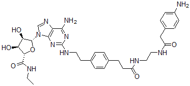 CAS#: 124190-27-8， (2S,3S,4R,5R)-5-[6-Amino-2-[2-[4-[3-[2-[[2-(4-Aminophenyl)Acetyl]Amino]Ethylamino]-3-Oxopropyl]Phenyl]Ethylamino]Purin-9-Yl]-N-Ethyl-3,4-Dihydroxyoxolane-2-Carboxamide