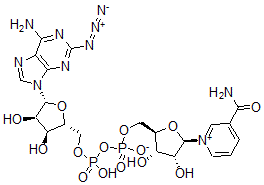 CAS#: 126609-61-8， 2-Azidoadenosine dinucleotide