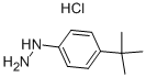 structure of CAS# 128231-55-0, [4-(1,1-Dimethylethyl)Phenyl]-Hydrazine Hydrochloride (1:1);4-TERT-BUTYLPHENYLHYDRAZINE MONOHYDROCHLORIDE 97%;1-[4-(TERT-BUTYL)PHENYL]HYDRAZINE HYDROCHLORIDE;4-TERT-BUTYLPHENYLHYDRAZINE MONOHYDROCHLORIDE