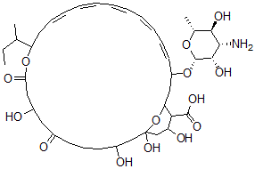 CAS 登录号：128808-63-9， (6E,10Z)-3-[(2R,3S,4S,5S,6R)-4-氨基-3,5-二羟基-6-甲基四氢吡喃-2-基]氧基-15-丁烷-2-基-19,25,27,29-四羟基-17,21-二氧代-16,31-二氧杂双环[25.3.1]三十一碳-4,6,8,10,12-五烯-30-羧酸
