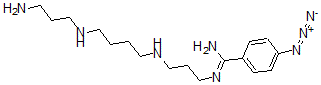 CAS#: 133009-20-8， N'-[3-[4-(3-Aminopropylamino)Butylamino]Propyl]-4-Azidobenzenecarboximidamide