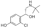 CAS#: 134865-33-1， (alphaR)-2-Chloro-alpha-[[(1,1-Dimethylethyl)Amino]Methyl]-4-Hydroxy-Benzenemethanol