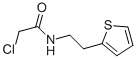 structure of CAS# 135709-69-2, 2-Chloro-N-[2-(2-Thienyl)Ethyl]-Acetamide;2-Chloro-N-[2-(2-Thienyl)Ethyl]Acetamide;2-Chloro-N-(2-Thiophen-2-Ylethyl)Ethanamide;Zinc04206381