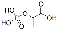 CAS 登录号：138-08-9， 2-(磷酰氧基)-2-丙烯酸