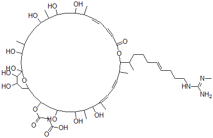 CAS#: 143906-47-2， 3-[[(13E,15Z,21E,23E)-1,3,7,9,11,25,27,29,35,36-Decahydroxy-4,8,12,20,24,26-Hexamethyl-19-[(E)-10-[(N'-Methylcarbamimidoyl)Amino]Dec-6-En-2-Yl]-17-Oxo-18,37-Dioxabicyclo[31.3.1]Heptatriaconta-13,15,21,23-Tetraen-31-Yl]Oxy]-3-Oxopropanoic Acid