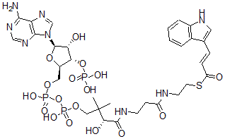 CAS#: 144319-98-2， S-[2-[3-[[(2R)-4-[[[(2R,3S,4R,5R)-5-(6-Aminopurin-9-Yl)-4-Hydroxy-3-Phosphonooxyoxolan-2-Yl]Methoxy-Hydroxyphosphoryl]Oxy-Hydroxyphosphoryl]Oxy-2-Hydroxy-3,3-Dimethylbutanoyl]Amino]Propanoylamino]Ethyl] (E)-3-(1H-Indol-3-Yl)Prop-2-Enethioate