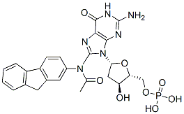 CAS#: 14490-86-9， 8-(N-Fluoren-2-Ylacetamido)-2'-Deoxyguanosine 5'-Monophosphate