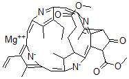 CAS#: 15741-04-5， Methylchlorophyllide A