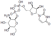 CAS#: 17479-04-8， Udp-Glucosamine
