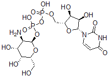 CAS#: 17479-06-0， Uridine Diphosphate Galactosamine