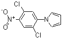 CAS 登录号：175135-54-3， 1-(2,5-二氯-4-硝基苯基)-1H-吡咯
