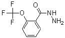 结构式 CAS# 175277-19-7, 2-(三氟甲氧基)-苯甲酰肼