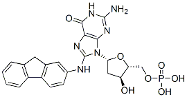 CAS#: 17660-46-7， 8-(N-Fluoren-2-Ylamino)-2'-Deoxyguanosine 5'-Monophosphate