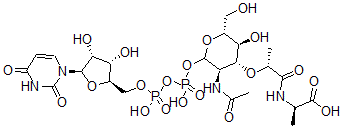 CAS 登录号：1941-66-8， 尿苷-N-乙酰基胞壁酰丙氨酸