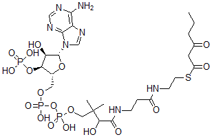 CAS 登录号：19774-86-8， 3-氧代己酰-辅酶A