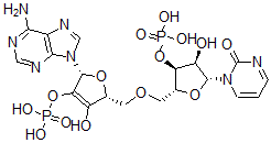 CAS#: 20787-33-1， Cyclo(adenylyl(3'-5')uridine monophosphate)