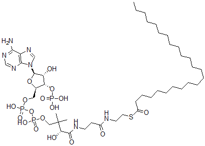 CAS#: 24305-30-4， Lignoceroyl-Coenzyme A