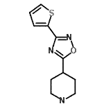 structure of CAS# 244272-35-3, 4-[3-(2-Thienyl)-1,2,4-Oxadiazol-5-Yl]Piperidine;2-(5-(4-piperidyl)-1,2,4-oxadiazol-3-yl)thiophene;4-(3-thien-2-yl-1,2,4-oxadiazol-5-yl)piperidine;4-[3-(Thien-2-yl)-[1,2,4]-oxadiazol-5-yl]-piperidine