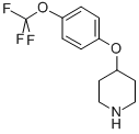 结构式 CAS# 287952-67-4, 4-[4-(三氟甲氧基)苯氧基]哌啶