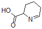 CAS#: 3038-89-9， 2,3,4,5-Tetrahydropyridine-2-Carboxylic Acid