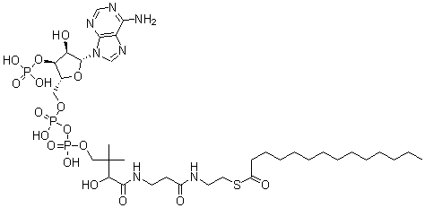 结构式 CAS# 3130-72-1, 辅酶 A-S-十四烷酸酯
