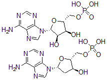 CAS#: 32070-56-7， 2'-deoxy-5'-Adenylic acid polymer 5'-adenylic acid