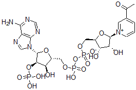 CAS#: 341-67-3， [(2R,3S,4R,5R)-5-(3-Acetylpyridin-1-Ium-1-Yl)-3,4-Dihydroxyoxolan-2-Yl]Methyl [[(2R,3R,4R,5R)-5-(6-Aminopurin-9-Yl)-3-Hydroxy-4-Phosphonooxyoxolan-2-Yl]Methoxy-Hydroxyphosphoryl] Phosphate