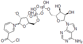 CAS#: 39938-03-9， (2R,3R,4S,5R)-5-[[[[(2R,3S,4R,5R)-5-(6-Aminopurin-9-Yl)-3,4-Dihydroxyoxolan-2-Yl]Methoxy-Hydroxyphosphoryl]Oxy-Hydroxyphosphoryl]Oxymethyl]-2-[3-(2-Chloroacetyl)Pyridin-1-Ium-1-Yl]-4-Hydroxyoxolan-3-Olate