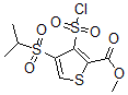 结构式 CAS# 423768-47-2, 3-(氯磺酰基)-4-[(1-甲基乙基)磺酰基]-2-噻吩羧酸甲酯