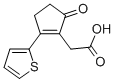 structure of CAS# 436086-95-2, (5-Oxo-2-Thiophen-2-Yl-Cyclopent-1-Enyl)-Acetic Acid;2-[5-Oxo-2-(2-Thienyl)-1-Cyclopentenyl]Acetate;2-[5-Keto-2-(2-Thienyl)-1-Cyclopentenyl]Acetate;2-(5-Oxo-2-Thiophen-2-Yl-1-Cyclopentenyl)Ethanoate
