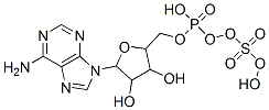 CAS#: 485-84-7， 6-Amino-9-[3,4-Dihydroxy-5-[(Hydroxy-Sulfooxy-Phosphoryl)Oxymethyl]Oxolan-2-Yl]-Purine
