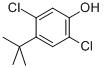 CAS#: 52780-22-0， 2,5-Dichloro-4-(1,1-Dimethylethyl)-Phenol