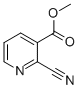 CAS#: 53940-11-7， Methyl 3-Cyanopyridine-2-Carboxylate