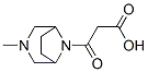 CAS#: 57269-36-0， 8-(Carboxyacetyl)-3-Methyl-3,8-Diazabicyclo[3.2.1]Octane