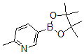 结构式 CAS# 610768-32-6, 6-甲基吡啶-3-硼酸频哪醇酯