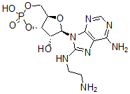 CAS 登录号：61363-29-9， 8-[(2-氨基乙基)氨基]-腺苷环-3',5'-(氢磷酸酯)