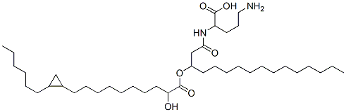 CAS#: 61574-56-9， 5-Amino-2-[3-[10-(2-Hexylcyclopropyl)-2-Hydroxy-Decanoyl]Oxyhexadecanoylamino]Pentanoic Acid