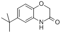 structure of CAS# 6238-96-6, 6-(Tert-Butyl)-2H-1,4-Benzoxazin-3(4H)-One;6-(TERT-BUTYL)-2H-1,4-BENZOXAZIN-3(4H)-ONE;6-TERT-BUTYL-4H-BENZO[1,4]OXAZIN-3-ONE