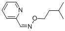 structure of CAS# 6267-20-5, 2-Pyridinecarboxaldehyde O-(3-Methylbutyl)Oxime;N-Isopentyloxy-1-(2-Pyridyl)Methanimine;Isoamoxy-(2-Pyridylmethylene)Amine;(E)-Isoamoxy-(2-Pyridylmethylene)Amine