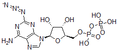 CAS#: 64020-53-7， 2-Azidoadenosine 3',5'-Diphosphate