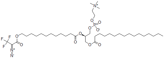 CAS#: 65114-55-8， 1-Palmitoyl-2-omega-(2-Diazo-3,3,3-Trifluoropropionyloxy)Lauroyl-Sn-Glycero-3-Phosphocholine