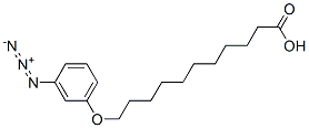 CAS#: 65114-63-8， omega-(3-Azidophenoxy)Undecanoic Acid