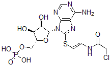 CAS#: 65259-76-9， 8-(Chloroacetylaminoethylthio)Cyclic Amp