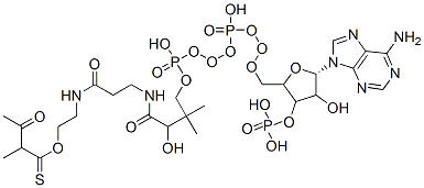 CAS 登录号：6712-01-2， S-[2-[3-[[4-[[[5-(6-氨基嘌呤-9-基)-4-羟基-3-膦酰氧基四氢呋喃-2-基]甲氧基-羟基磷酰]氧基-羟基磷酰]氧基-2-羟基-3,3-二甲基丁酰基]氨基]丙酰氨基]乙基] 2-甲基-3-氧代硫代丁酸酯
