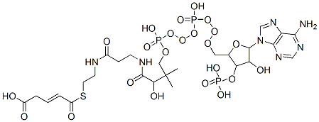 CAS#: 6712-05-6， 4-[2-[3-[[4-[[[5-(6-Aminopurin-9-Yl)-4-Hydroxy-3-Phosphonooxy-Oxolan-2-Yl]Methoxy-Hydroxy-Phosphoryl]Oxy-Hydroxy-Phosphoryl]Oxy-2-Hydroxy-3,3-Dimethyl-Butanoyl]Amino]Propanoylamino]Ethylsulfanylcarbonyl]But-3-Enoic Acid